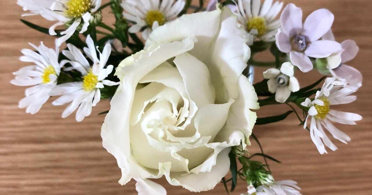 花屋日記 42 世界にまだ絶望しなくていい 切島カイリ Note