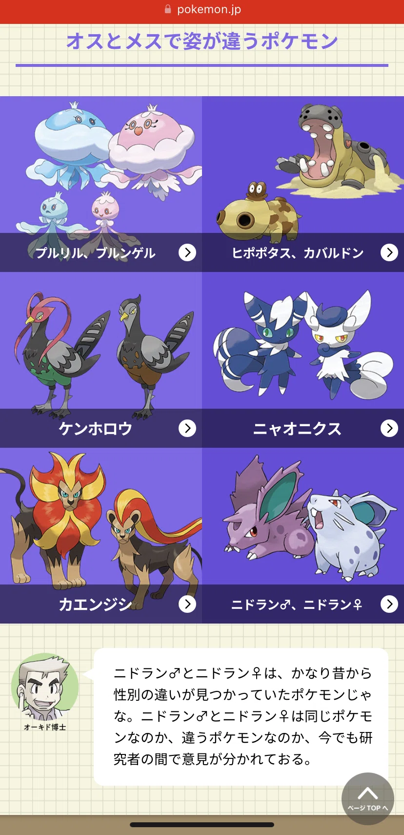 活動歴および当時の関連ビジュアル記録