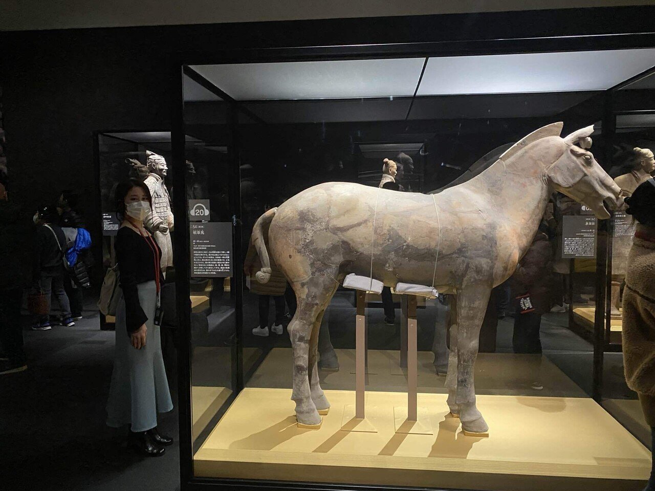 兵馬俑と古代中国 秦漢文明の遺産 in上野の森美術館｜切り絵作家
