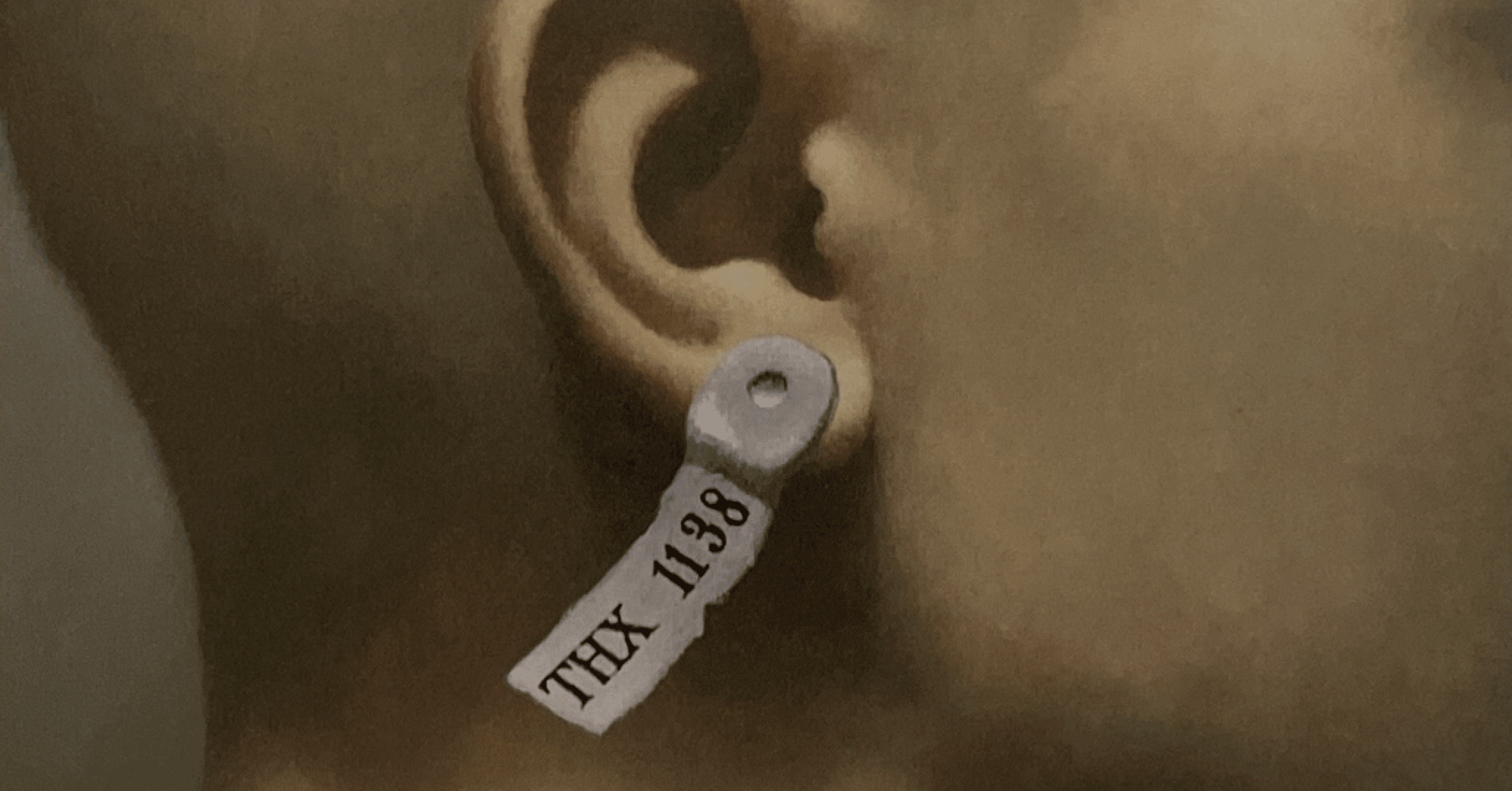 99fbc429ba7fdf93856cc9eda070cd