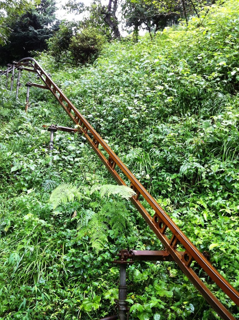 地域通貨について考えた人々 ２ 竹の輪っかの希少性 H Okada Note