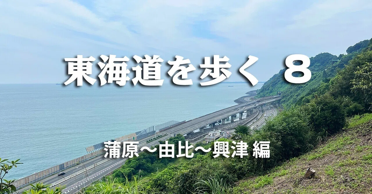 東海道を歩く 8 蒲原～由比～興津 220815｜高木大介