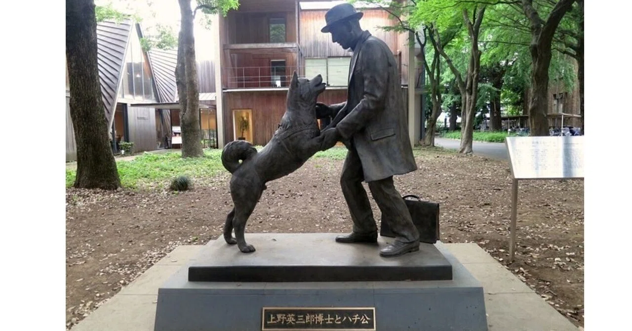 【忠犬ハチ公の知られざる真実】実はお墓は渋谷以外の場所に?|光とガラスの花壇墓地「花ごころ」