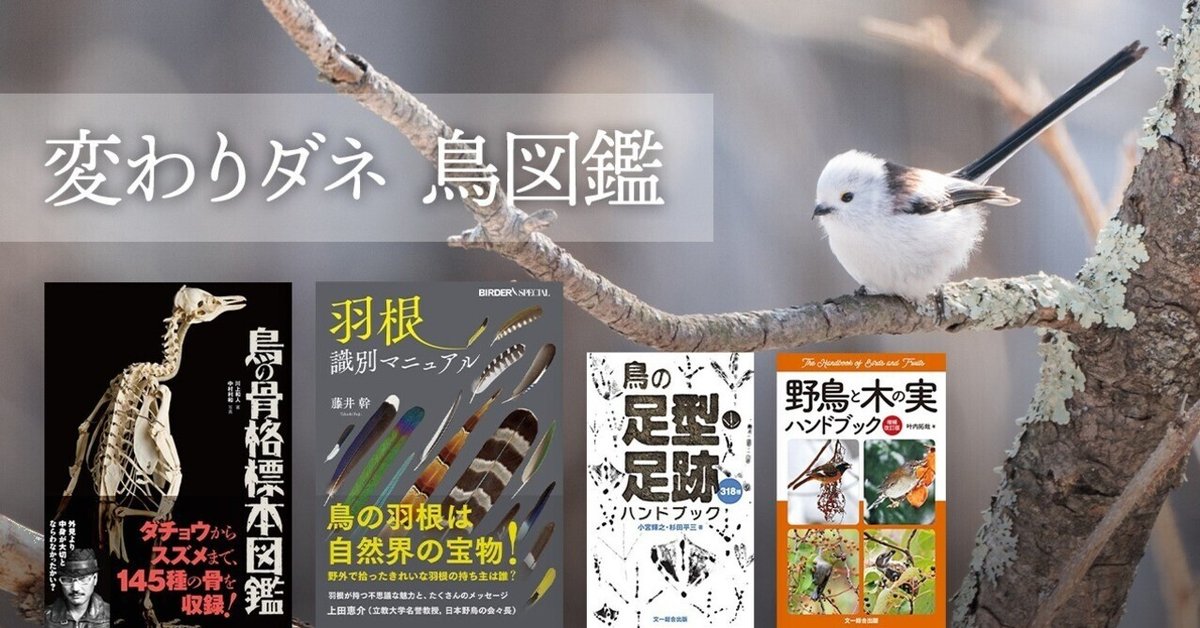 ブンイチの図鑑 part7 変わりダネ 鳥図鑑｜ブンイチ（文一総合出版）