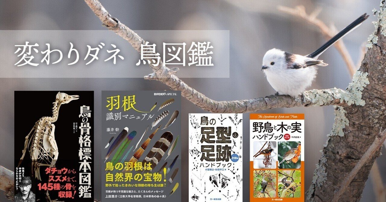 ブンイチの図鑑 part7 変わりダネ 鳥図鑑｜ブンイチ（文一総合出版）