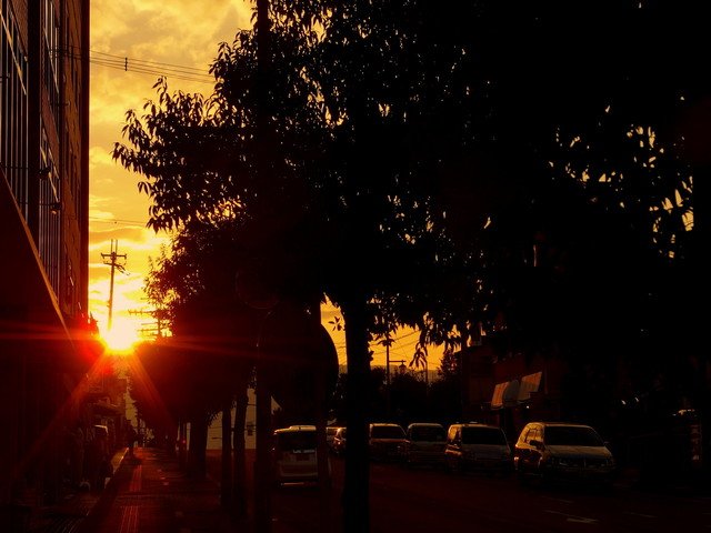 道を歩いていて、顔を上げたら、夕陽と目が合った。かばんの中からカメラを出して、挨拶をした。
