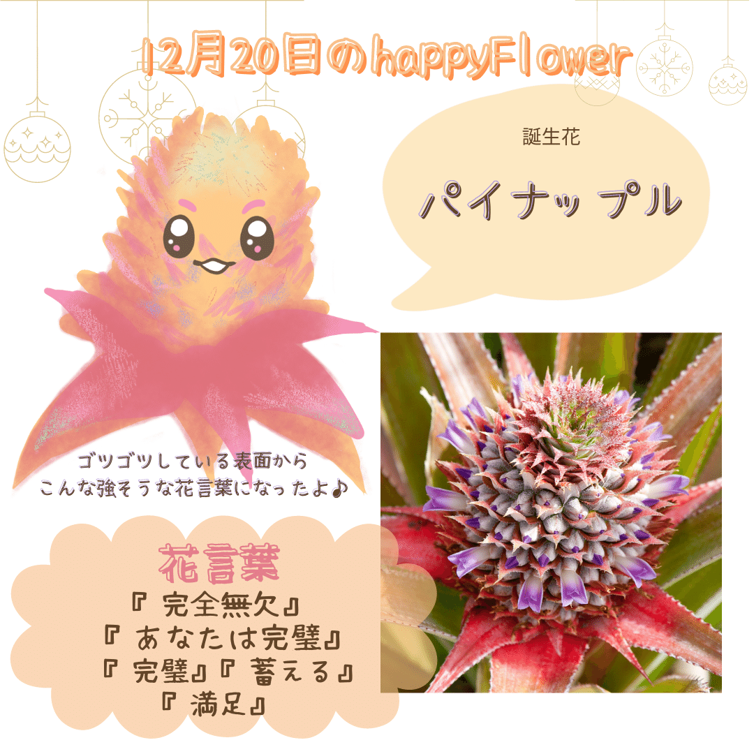 12月日の誕生花と花言葉でおめでとう イラスト 写真 森田はぐみdesign イラストレーター Note