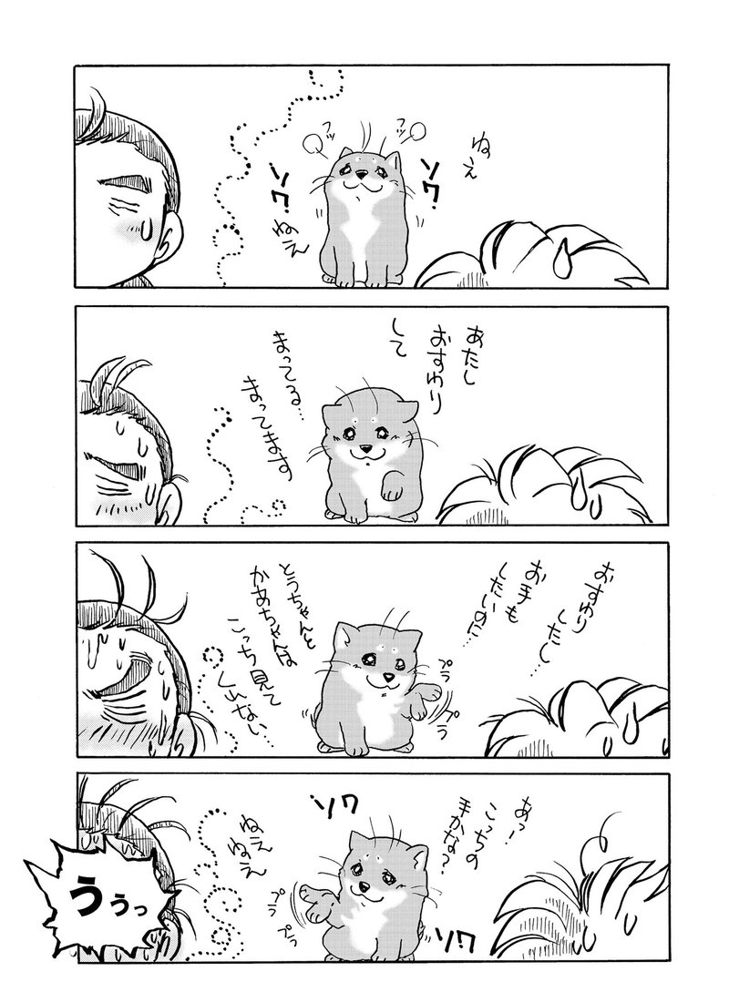 ラブリーな豆柴エッセイコミック まめしばコ 刊行記念プレゼントキャンペーン 下絵原稿 生ネームセット Or 著者が描く あなたの愛犬の イラスト をプレゼント Hayakawa Books Magazines B ラブリーな豆柴エッセイコミック まめしばコ 刊行記念プレゼントキャンペーン 下絵原稿 生ネームセット Or 著者が描く あなたの愛犬の イラスト をプレゼント Hayakawa Books Magazines B