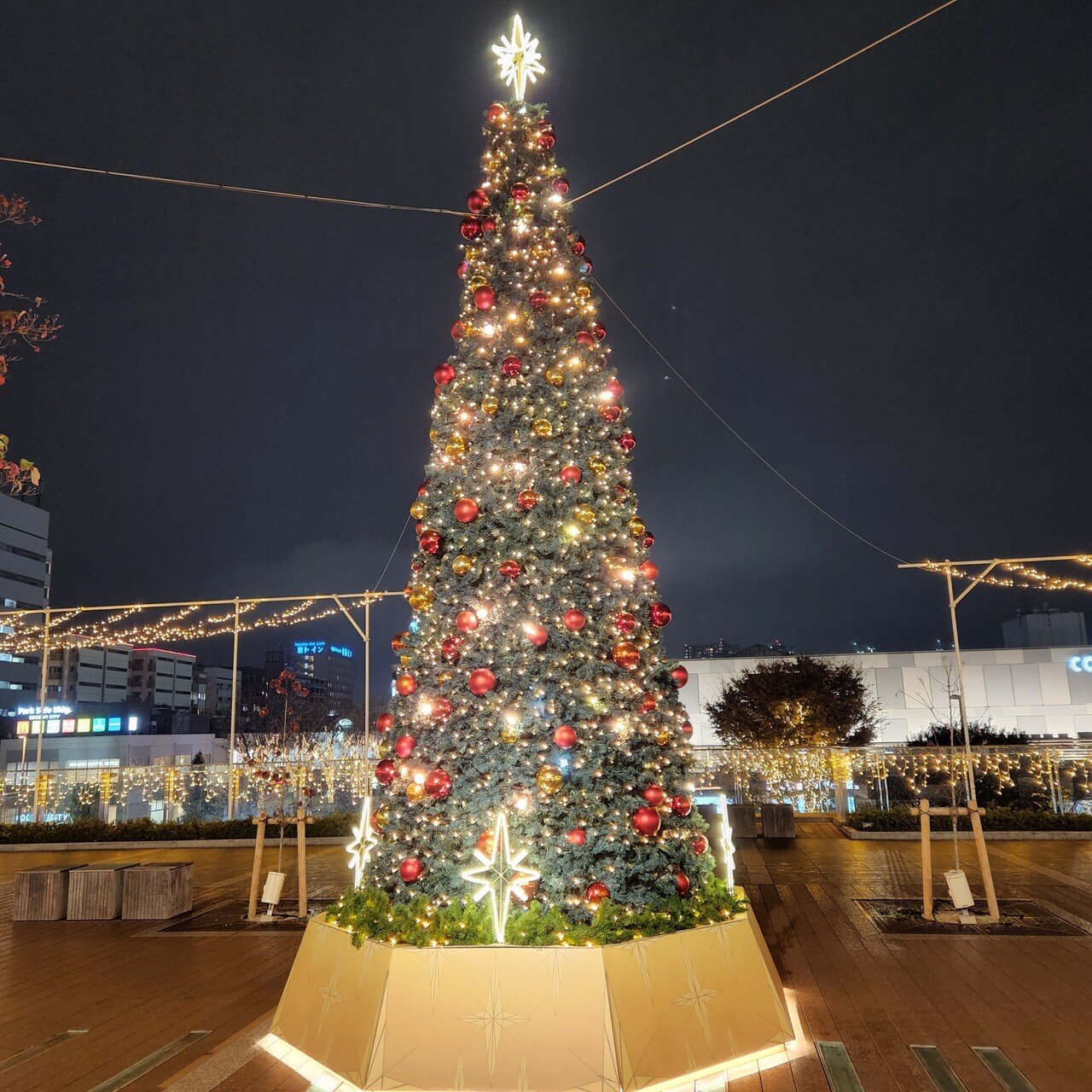 すみっコぐらし アゲアゲあげっコ クリスマスツリー すみっコ