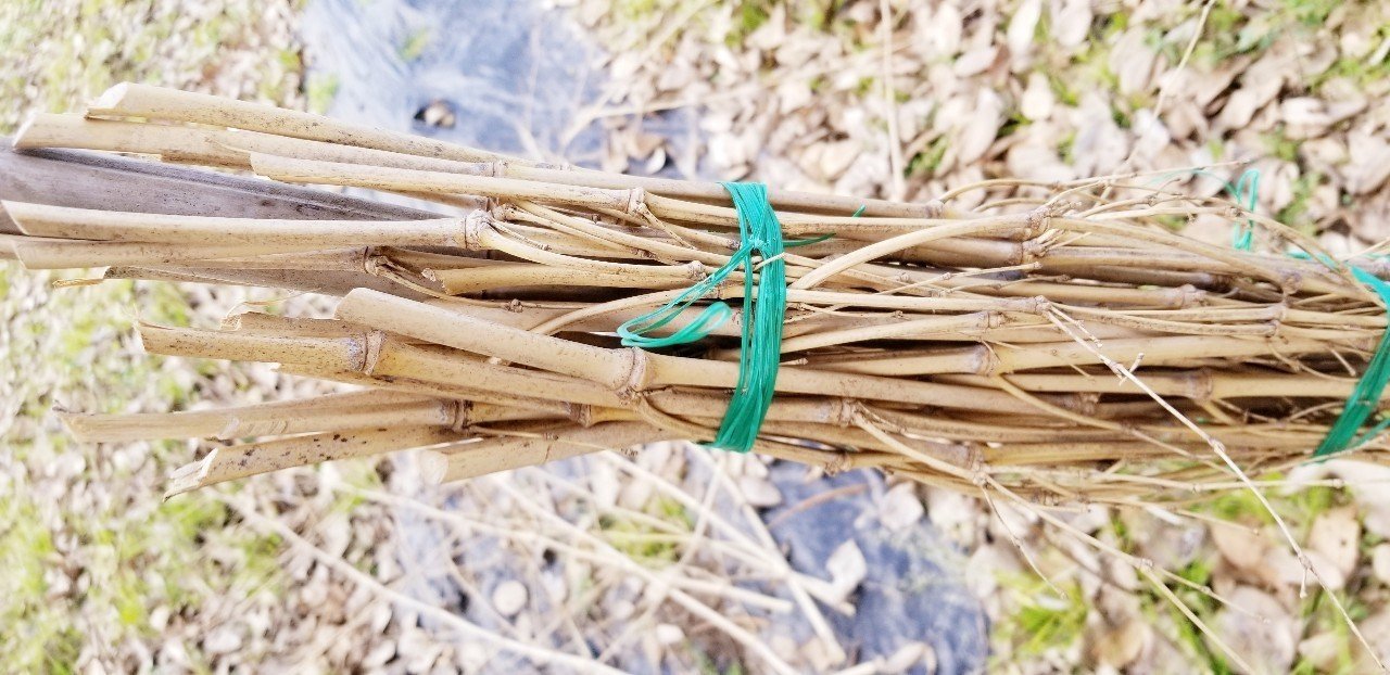 畑に落ちてた1本の竹から 竹ぼうき を作ってみた まさと まつやま Note 畑に落ちてた1本の竹から 竹ぼうき を作ってみた まさと まつやま Note