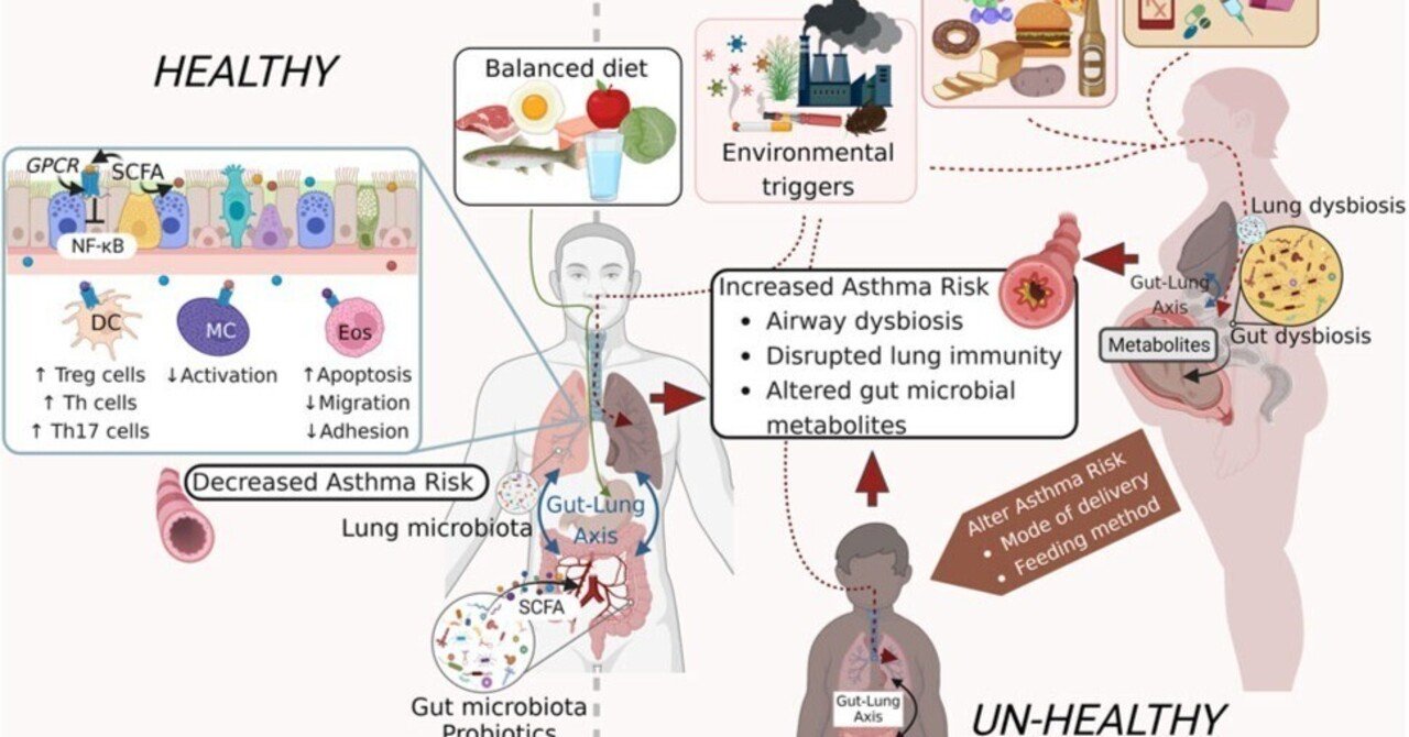 喘息における人間の問題。肺の健康におけるマイクロバイオームの考察