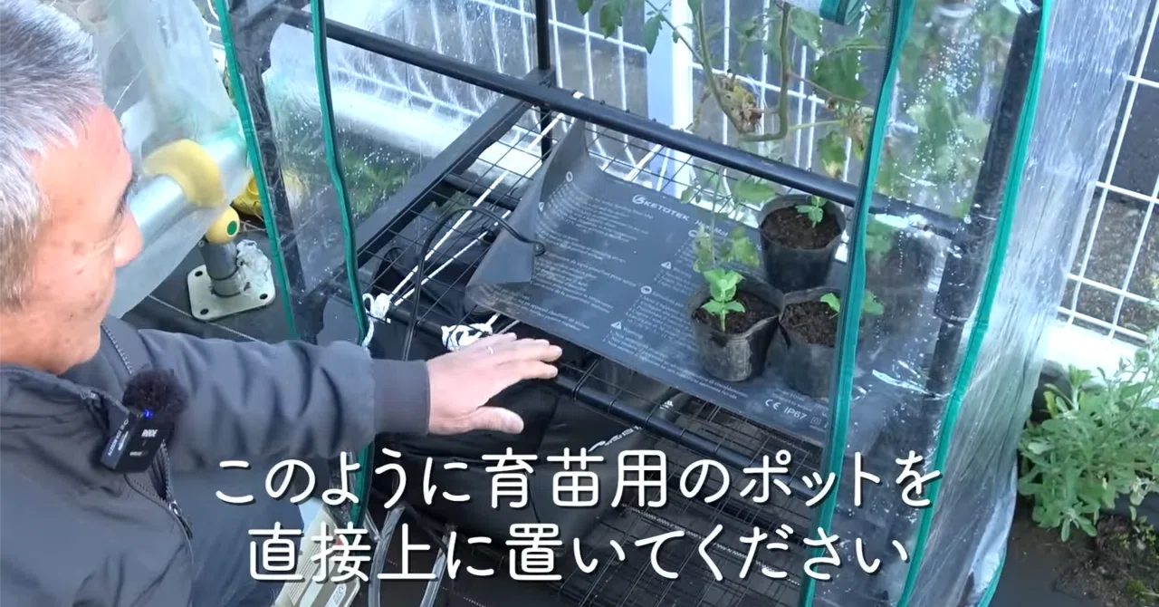 相談可】農業・植物園芸用ガラス温室 痛かっ
