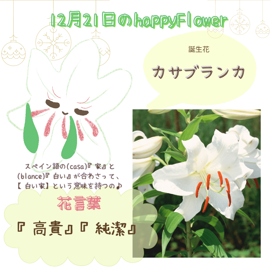 12月21日の誕生花と花言葉でおめでとう イラスト 写真 森田はぐみdesign イラストレーター Note