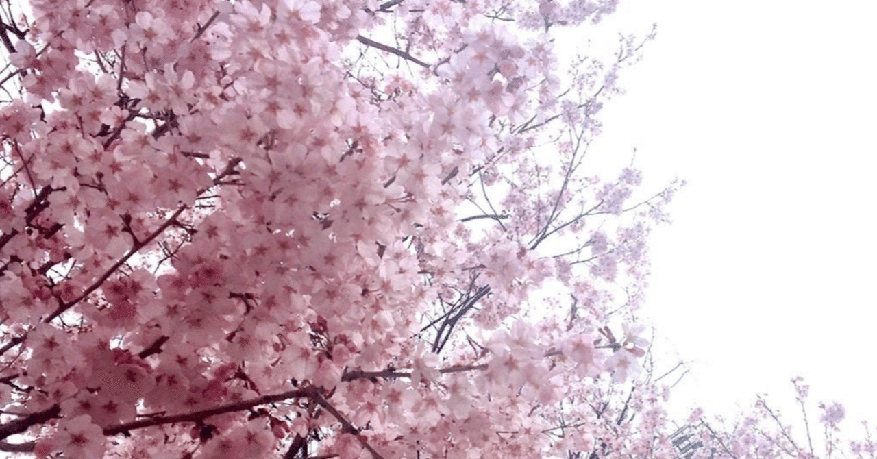 【自由とは?】決戦は春(おそらく)|seiya_3000|note