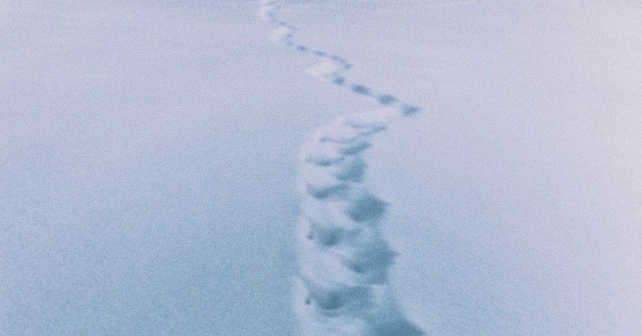 怒りと暴力の狂奔 デンデラ 2011年の映画 お望月さん 珍評家 note