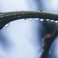 映画 リズと青い鳥 の演出についての感想と考察 阿井 Note