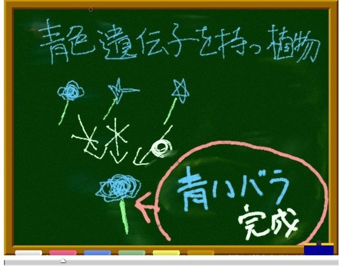 青いバラと遺伝子設計図の関係とは 黒ラブ教授 科学コミュニケーター 理系文系どっちも研究している人 Note