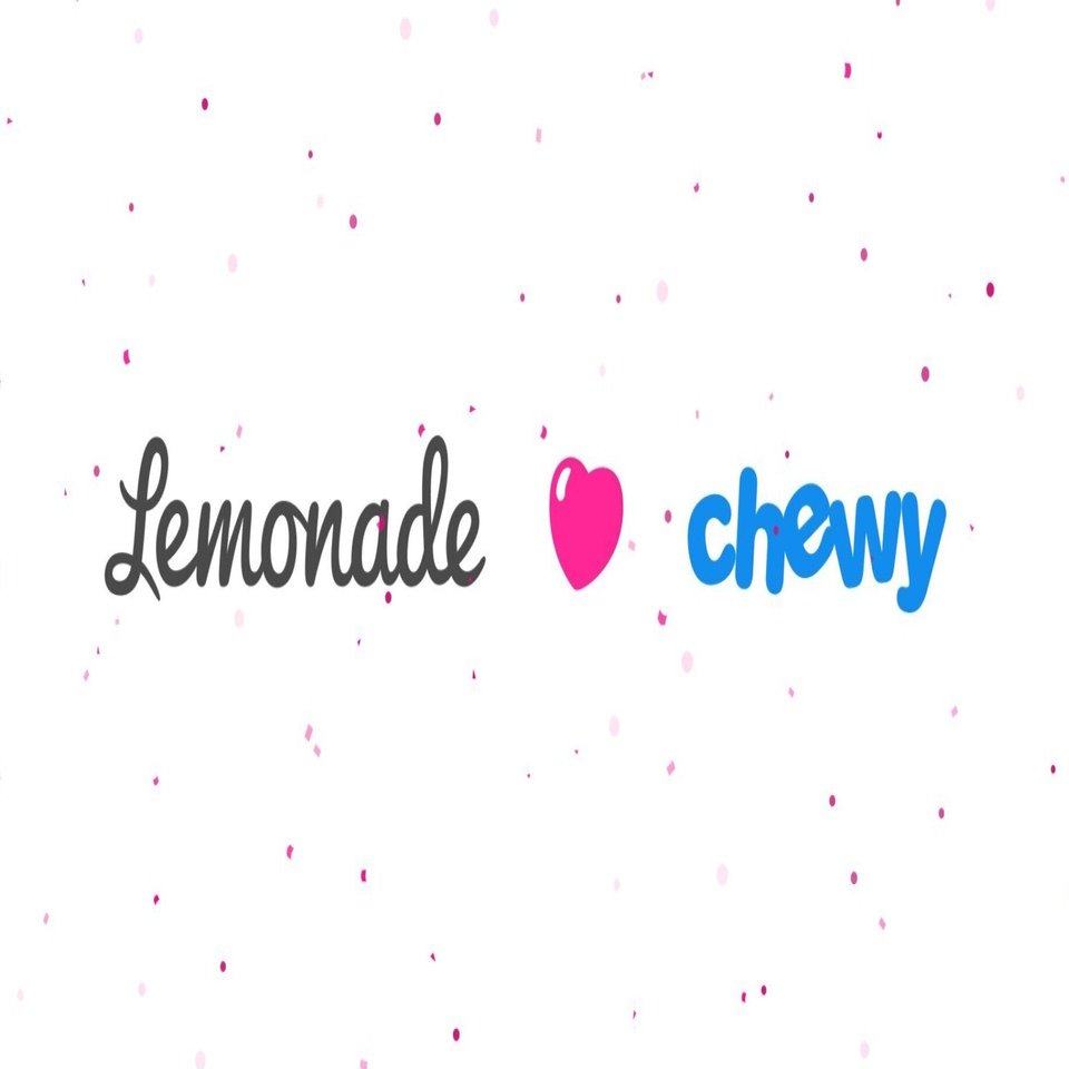 Chewy dot top