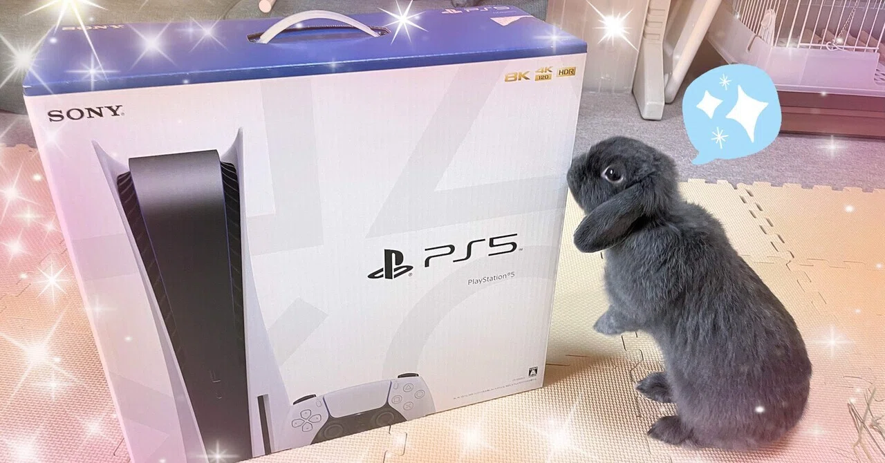 SONY PlayStation 5 本体(通常版)箱無し本体のみ引退品