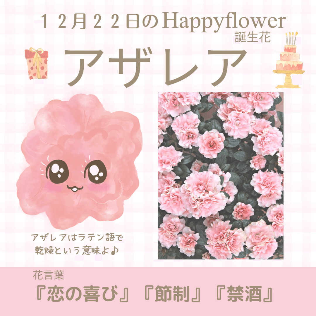 12月22日の誕生花と花言葉でおめでとう イラスト 写真 森田はぐみ イラストレーター Hanapopdesign Hug Note