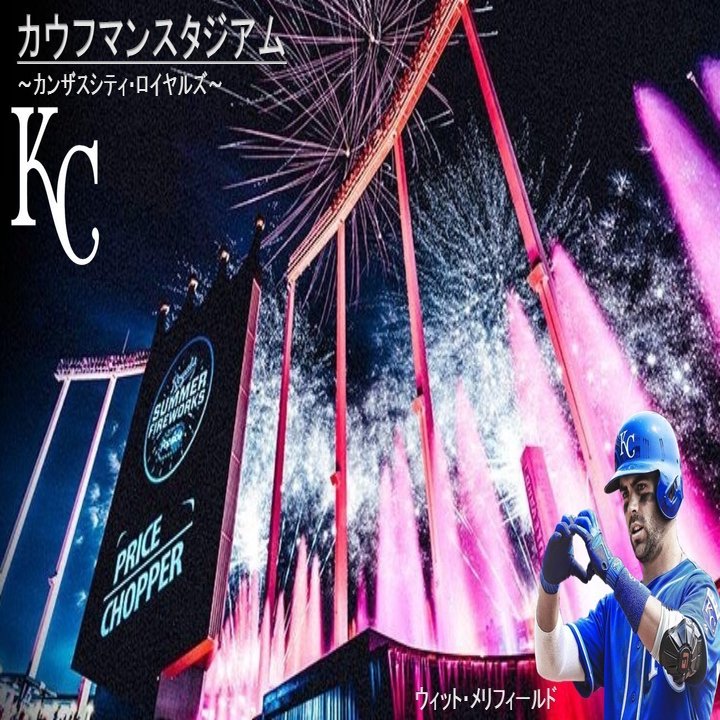 参考例紹介 虎愛太 Note