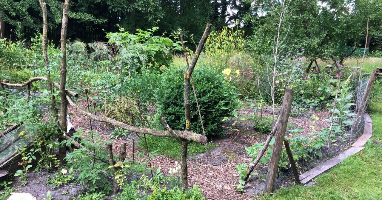 Forest gardening  パーマカルチャー関連 ドイツのパーマカルチャーガーデン｜manami｜宗像自然農園｜fluke wool