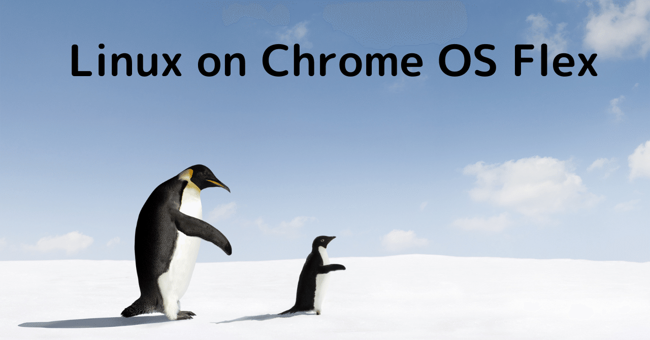 雑記】Chrome OS FlexなMacBook AirにLinuxを入れてみる（失敗