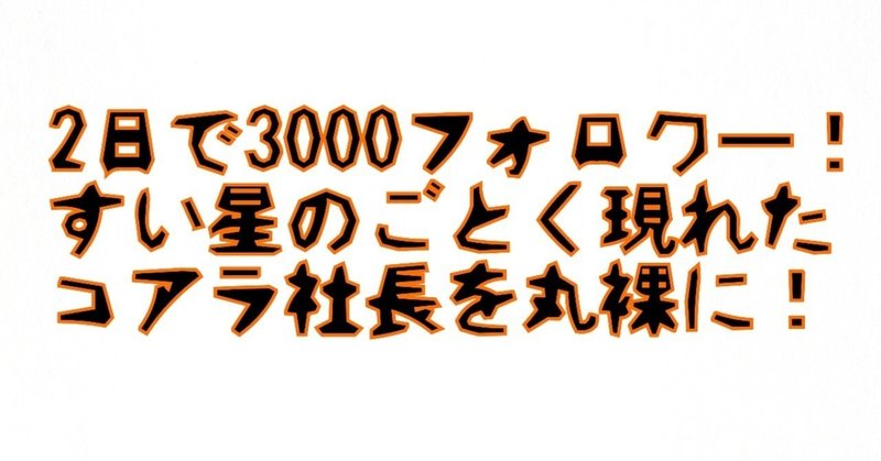 2日で3000フォロワー！すい星のごとく現れたコアラ社長を丸裸に！