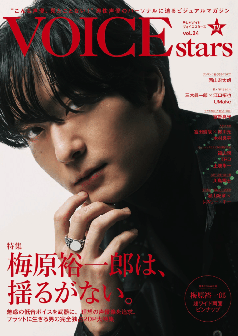 VOICE OVER No.9 谷山紀章 TVガイドVOICE STARS Dandyism vol.9 | TOKYO NEWS マガジン＆ムック