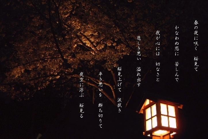 夜桜 Kazunosora Note