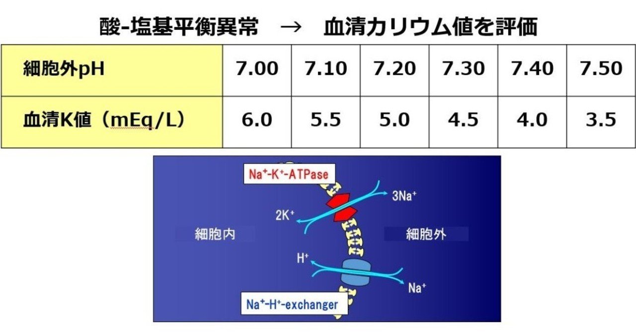 高カリウム血症 の新着タグ記事一覧 Note つくる つながる とどける