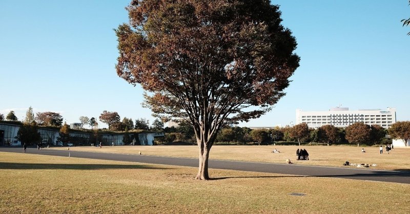 今年最初の３連休。