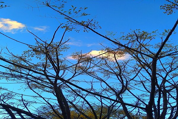 自然の美しさ の新着タグ記事一覧 Note つくる つながる とどける