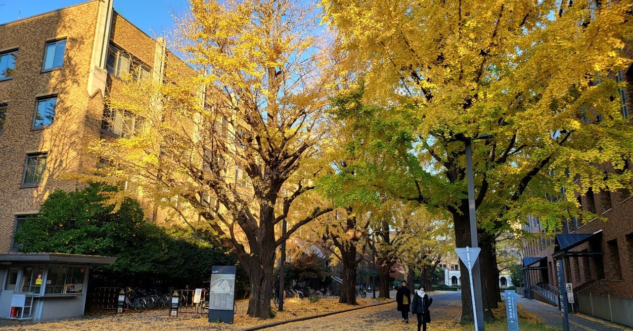 イチョウの木、ぎんなん テーブル全体が切り株 イチョウの木、ぎんなん テーブル全体が切り株 イチョウの木、ぎんなん