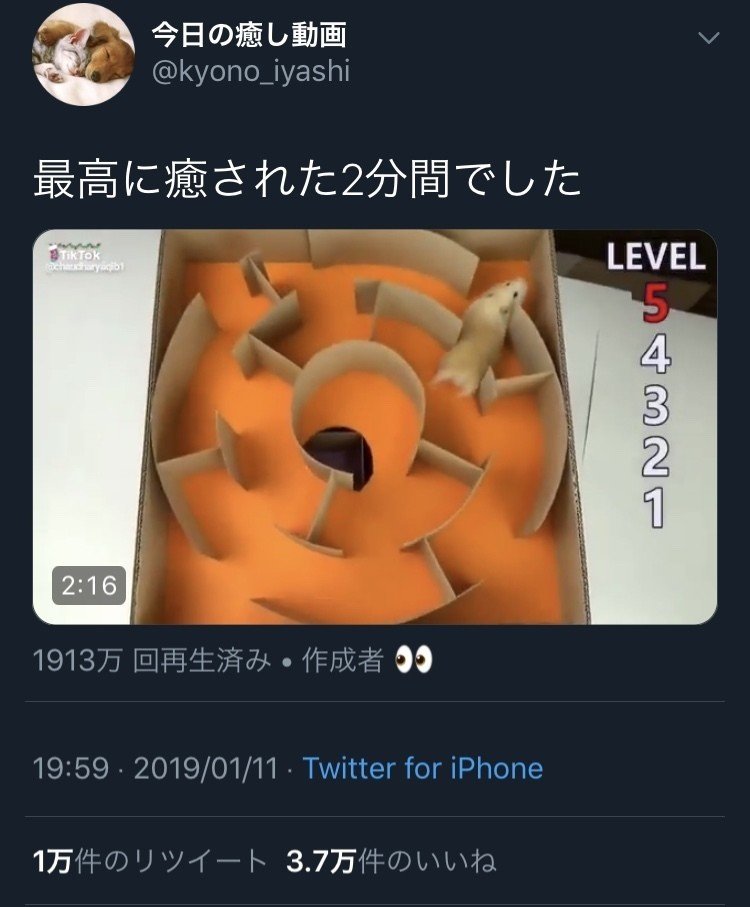 Twitterでわかる 話がつまらないメンズの見極め方 脳震盪ウサギエリカコチャン Note Twitterでわかる 話がつまらないメンズの見極め方 脳震盪ウサギエリカコチャン Note