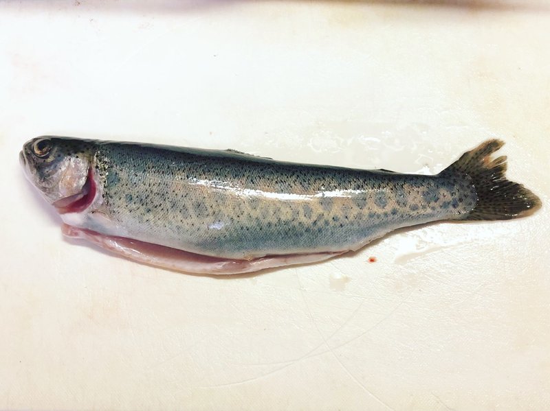魚の釣り方だけじゃなく 捌き方も教えてみた キートン福永 Note