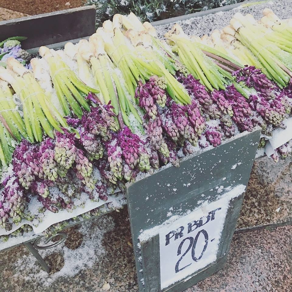 北欧の 花のある暮らし こすぎゆみこ 花のある暮らし研究家 Note