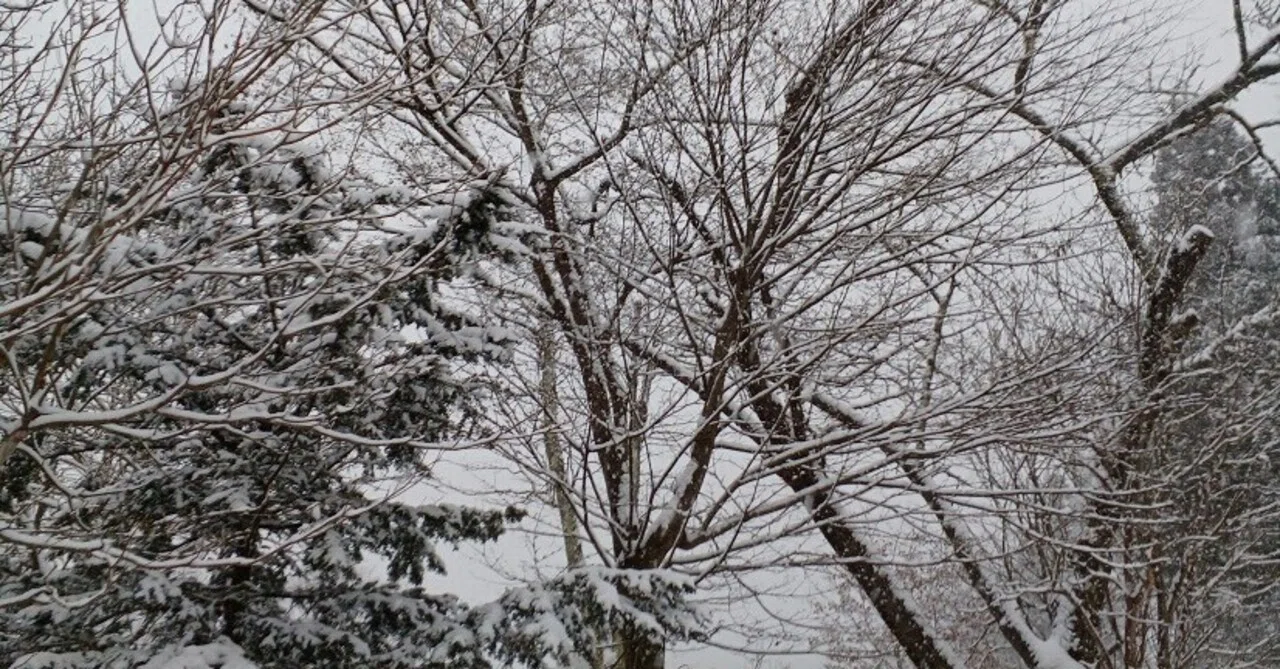 今シーズンの初雪です。｜葛飾区立日光林間学園