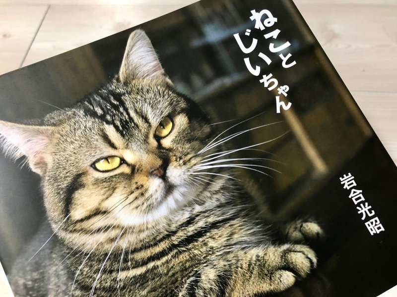 岩合光昭が初監督 全シーンに猫が登場する映画 メイキング秘話 Vol 2 切島カイリ Note