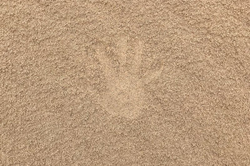 こどものあそびと砂場の研究 Codama Note