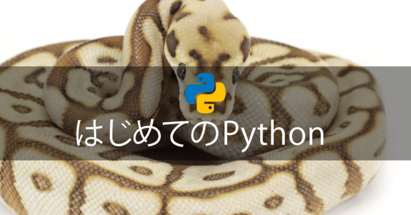 Python3 基礎文法 から学ぶ使い方＊基礎編