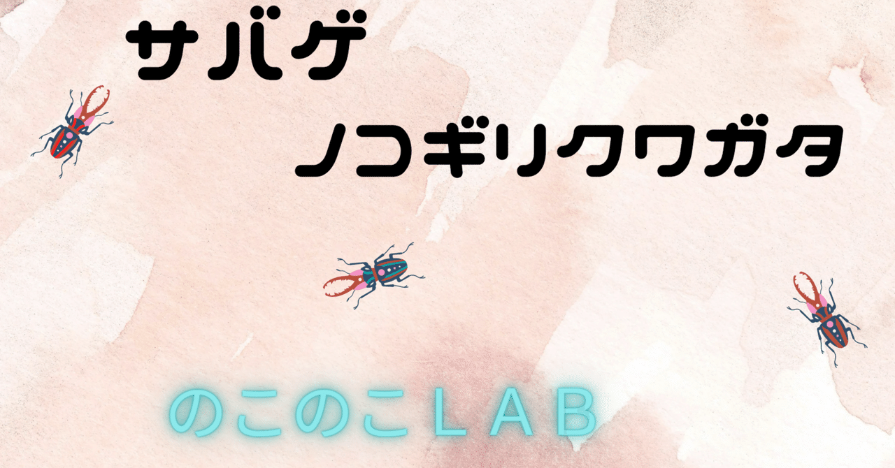 サバゲノコギリクワガタ　美品 サバゲノコギリの飼育（羽化） - クワガタ・カブトムシ飼育情報