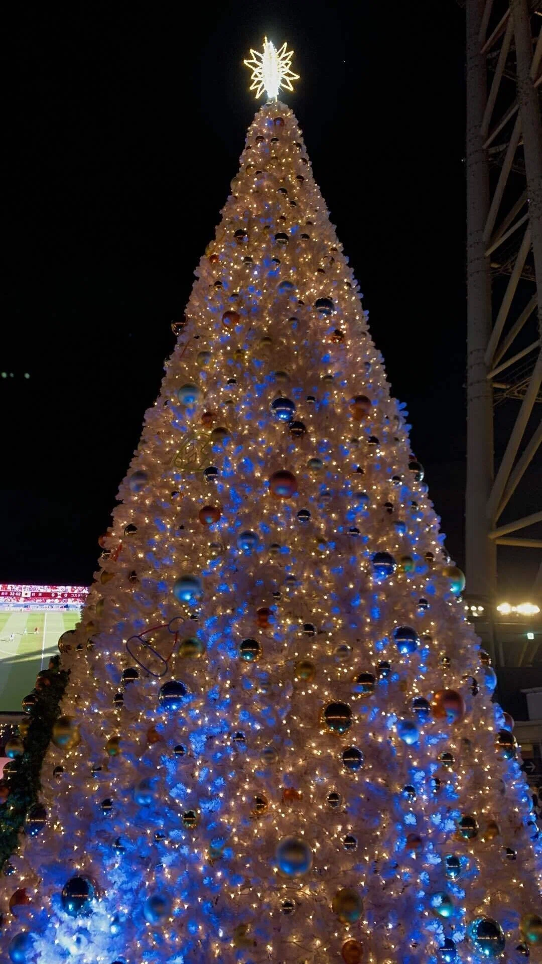 クリスマスの東京スカイツリー｜ケン