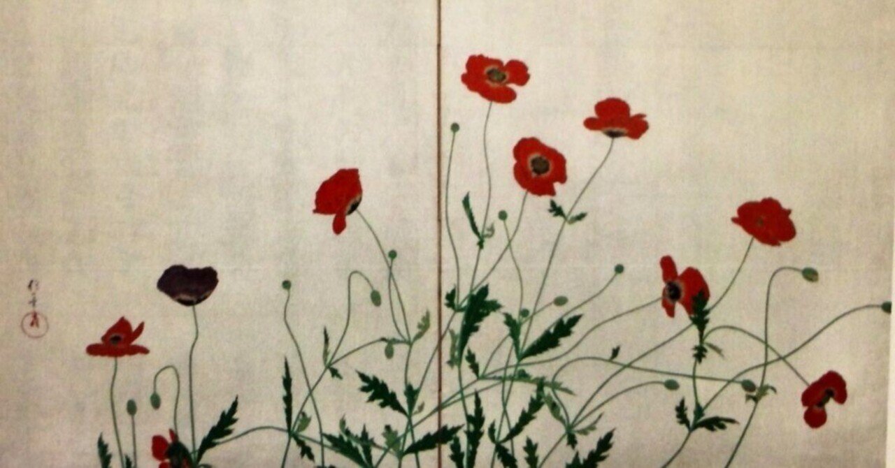 美の来歴㊵『虞美人草』と酒井抱一の屏風 柴崎信三 ｜shibasakishinzo