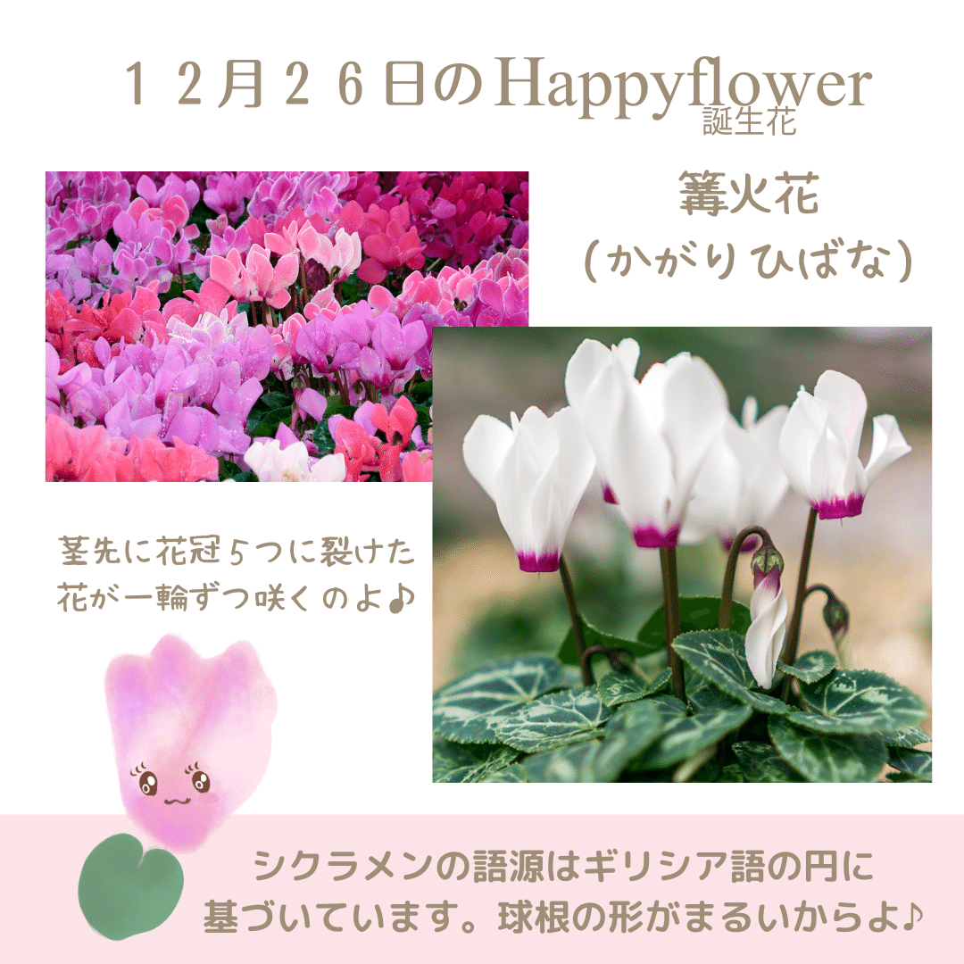 12月26日の誕生花と花言葉でおめでとう イラスト 写真 森田はぐみdesign イラストレーター Note