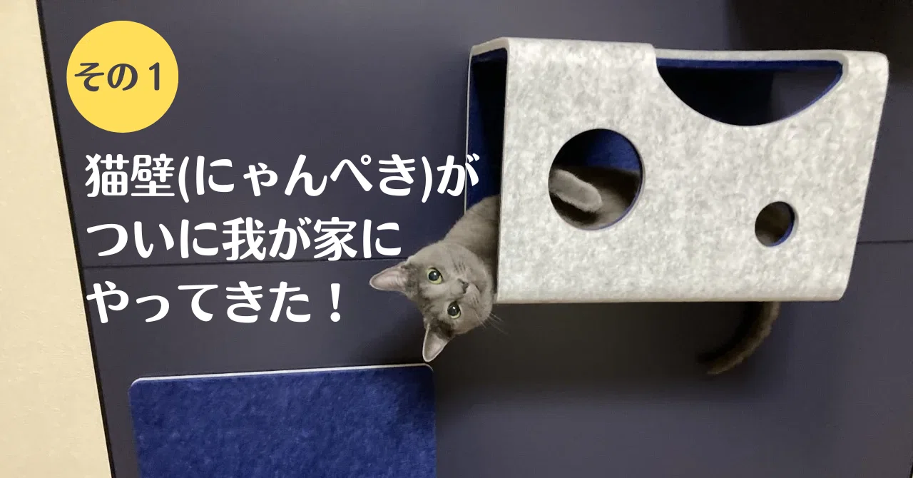 新品同様　LIXIL猫壁（にゃんぺき） ステップマグネット✖️2 ボックス透明✖️1 Lixil 猫 壁面 新品同様 LIXIL猫壁 にゃんぺき ステップマグネット 2