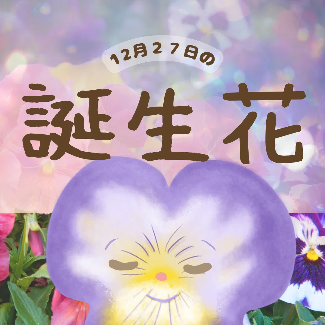 12月27日の誕生花と花言葉でおめでとう イラスト 写真 森田はぐみdesign イラストレーター Note