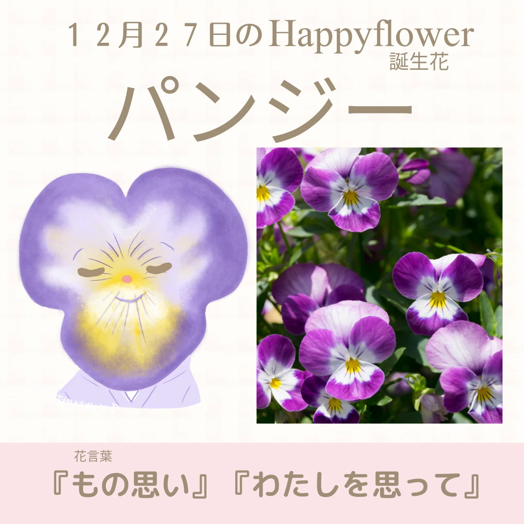 12月27日の誕生花と花言葉でおめでとう イラスト 写真 森田はぐみdesign イラストレーター Note