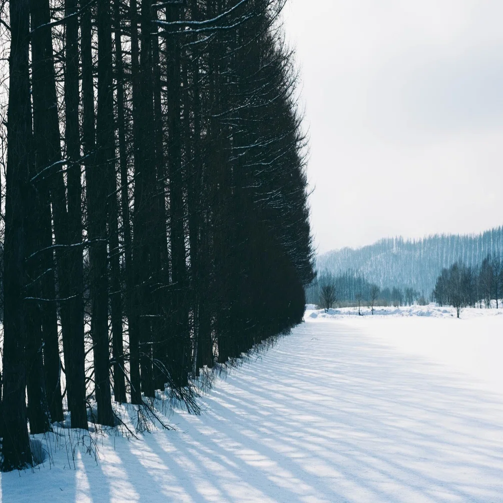 冬に読みたいおすすめ写真集6選｜CURBON｜写真と歩むライフスタイル