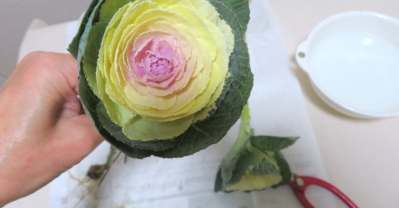 喪中でも正月花を飾る 秋峰 Note